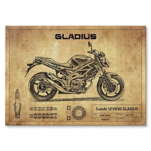 Suzuki SFV650 GLADIUS
