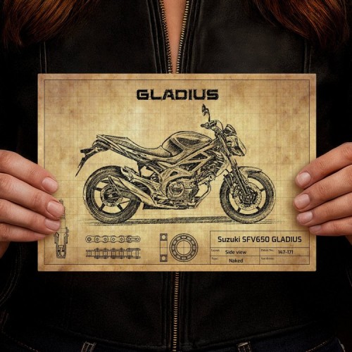 Suzuki SFV650 GLADIUS