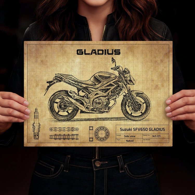 Suzuki SFV650 GLADIUS