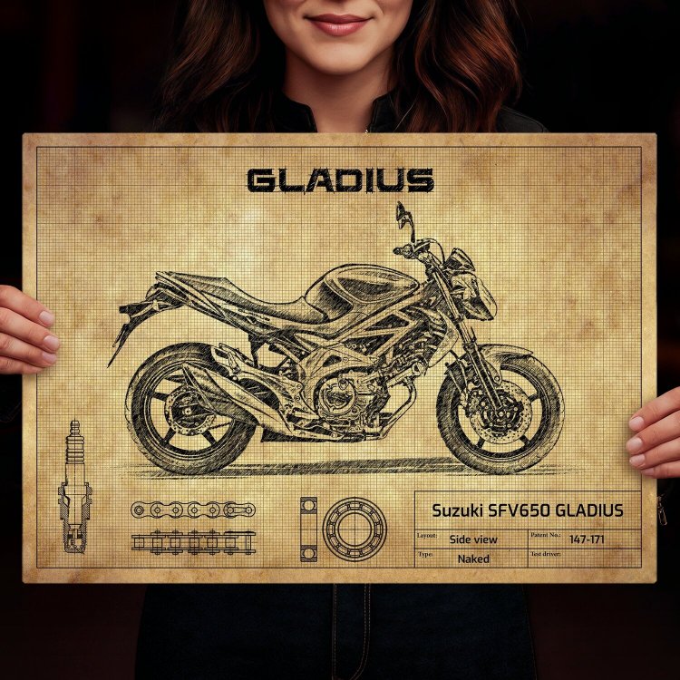 Suzuki SFV650 GLADIUS