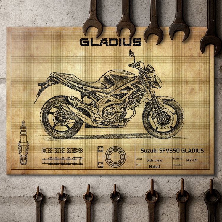 Suzuki SFV650 GLADIUS