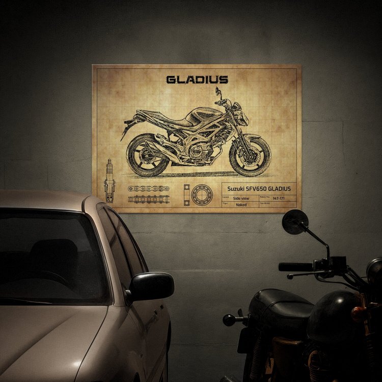 Suzuki SFV650 GLADIUS