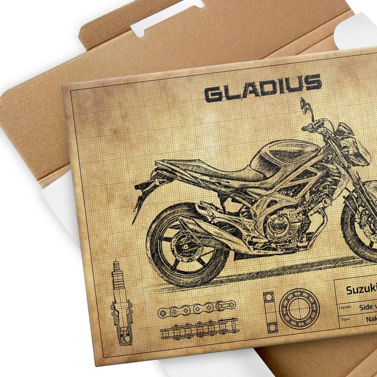 Suzuki SFV650 GLADIUS
