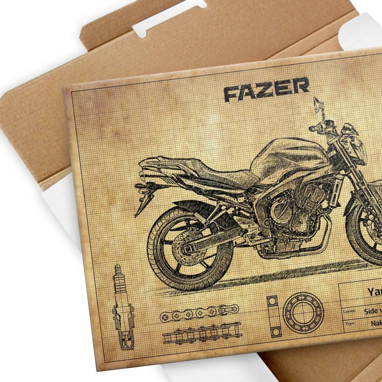 Yamaha FZ6 N S2