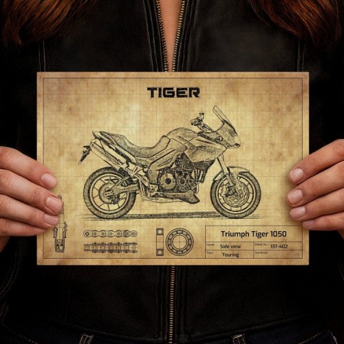 Triumph Tiger 1050
