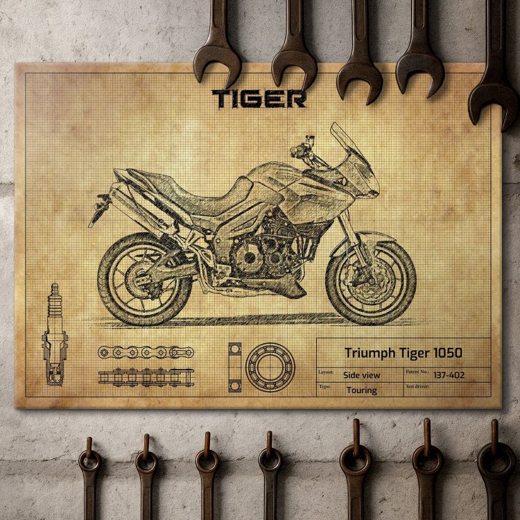 Triumph Tiger 1050
