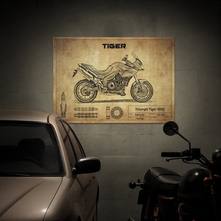 Triumph Tiger 1050