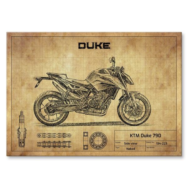 KTM Duke 790