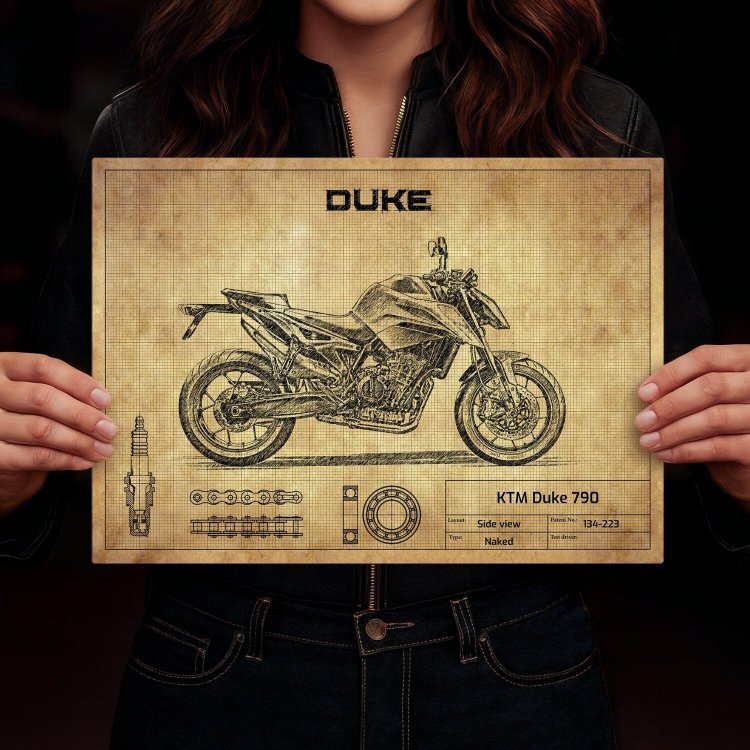 KTM Duke 790