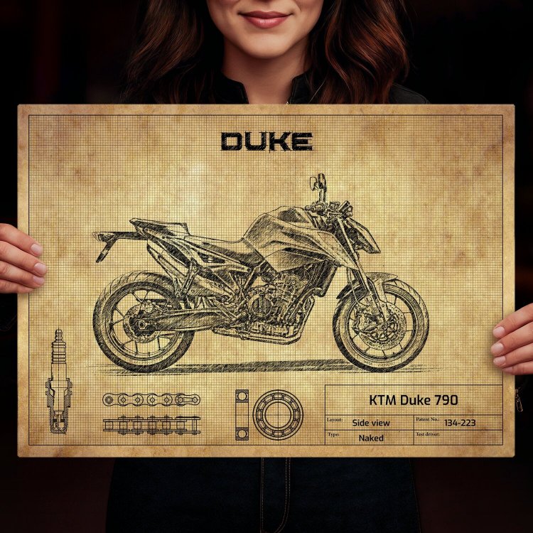 KTM Duke 790