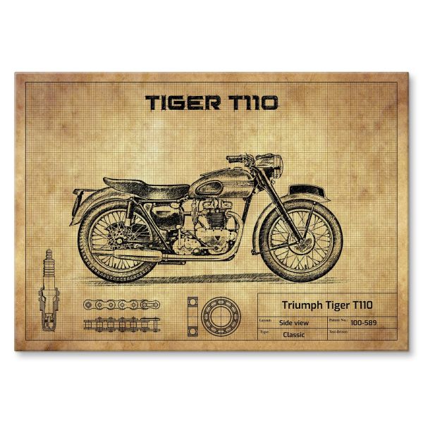 Triumph Tiger T110