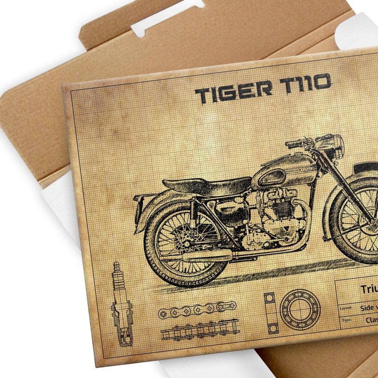 Triumph Tiger T110