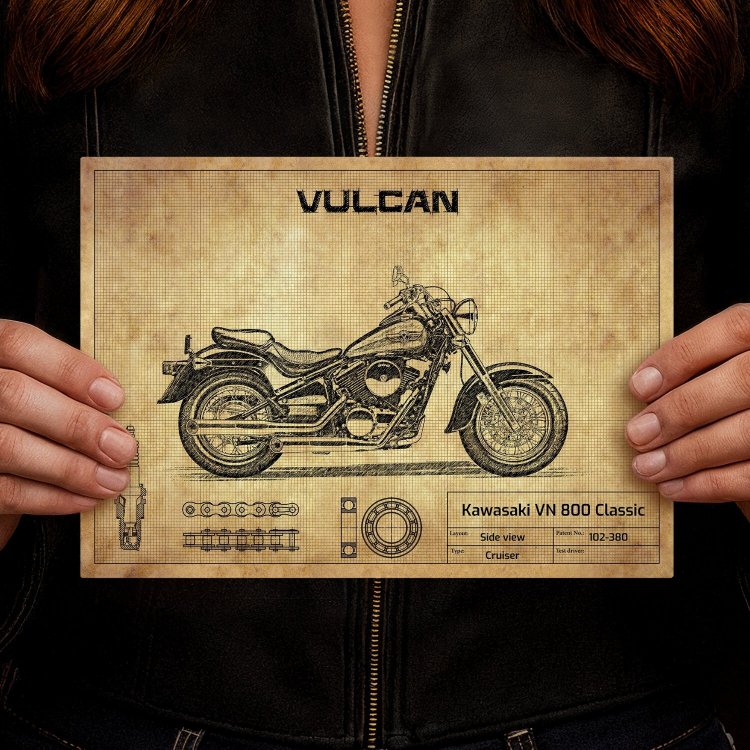 Kawasaki VN 800 Classic