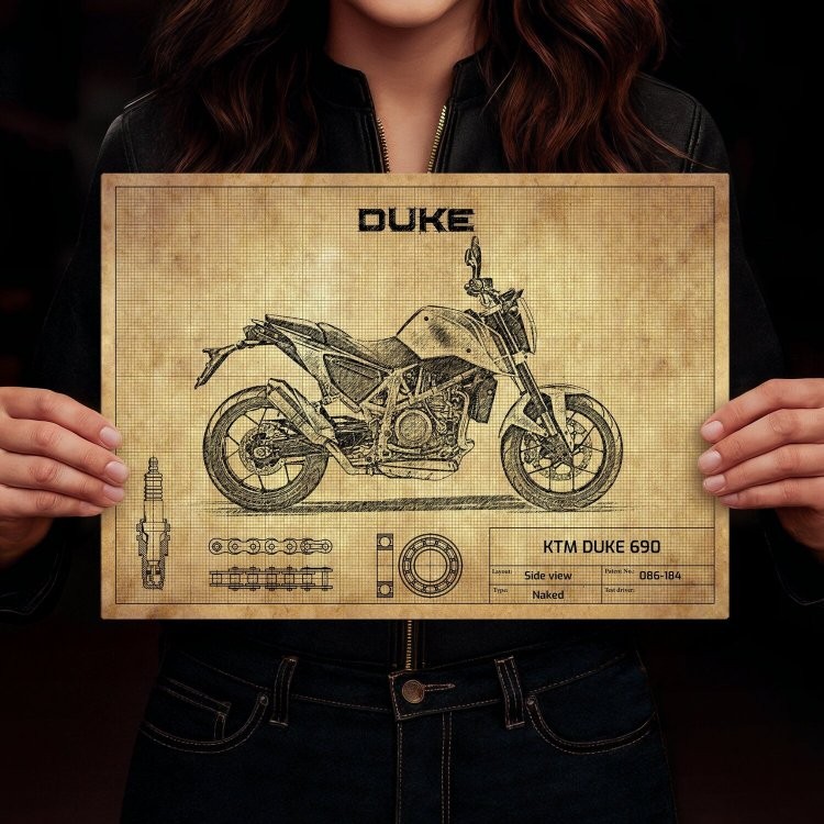 KTM DUKE 690