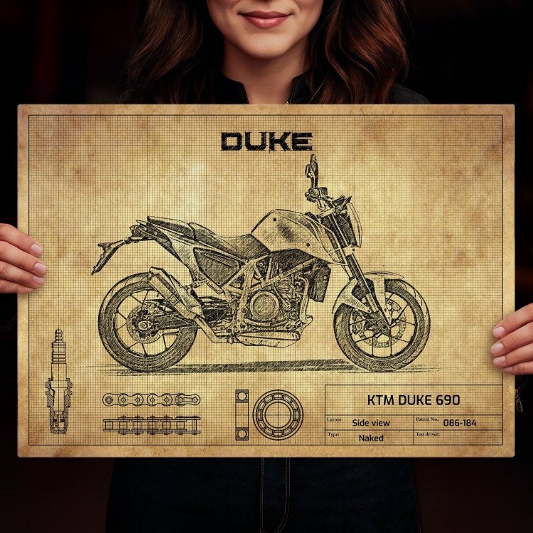 KTM DUKE 690