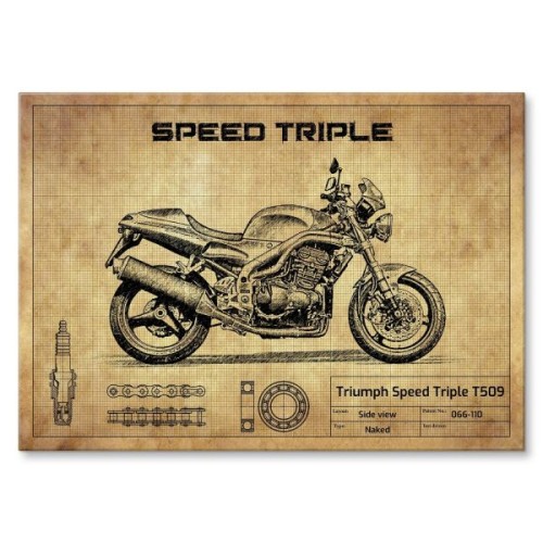 Triumph Speed Triple T509