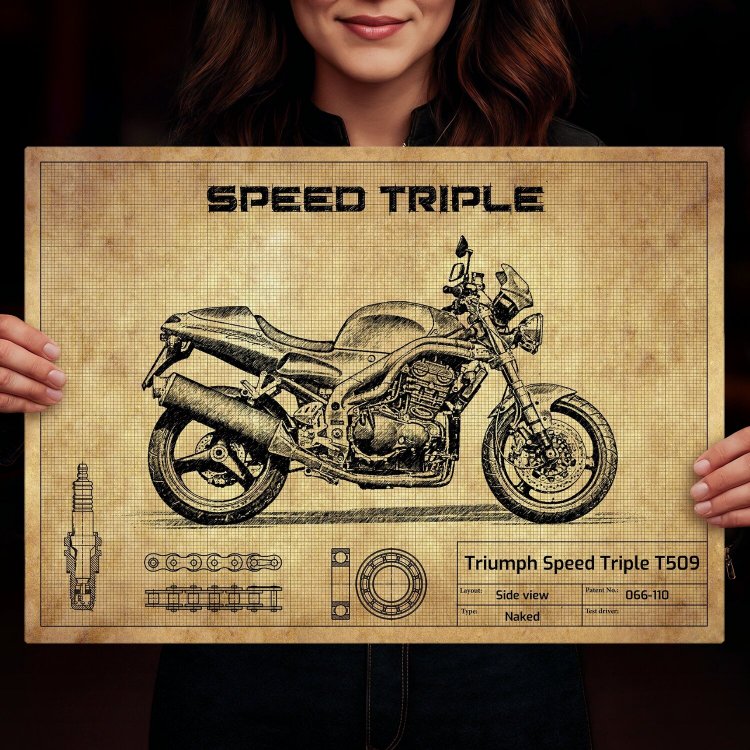 Triumph Speed Triple T509
