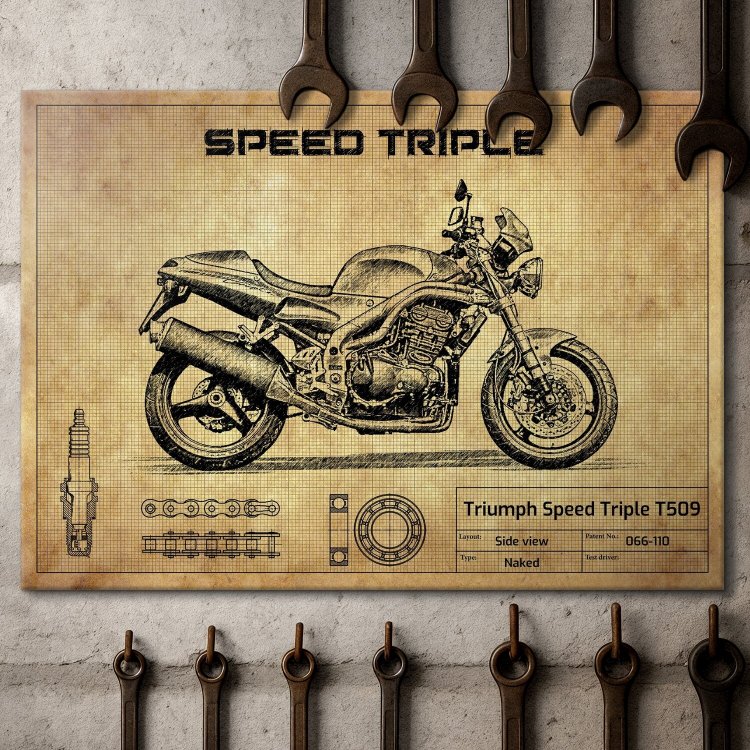 Triumph Speed Triple T509