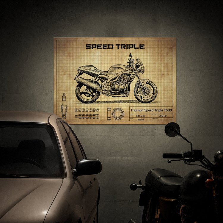 Triumph Speed Triple T509