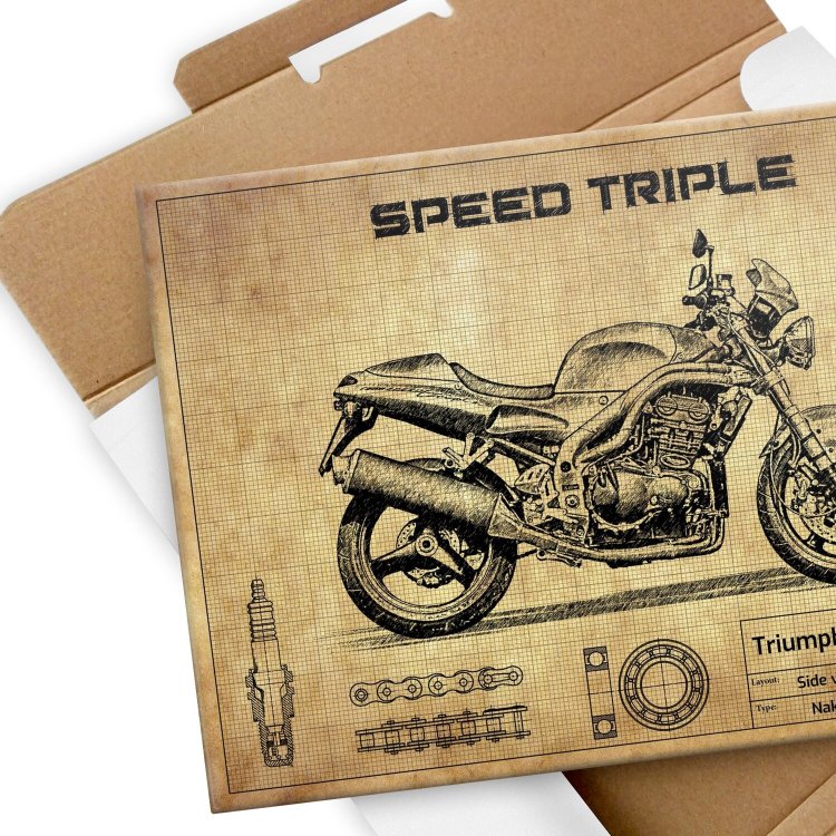 Triumph Speed Triple T509