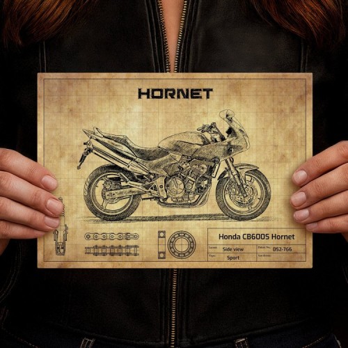 Honda CB600S Hornet