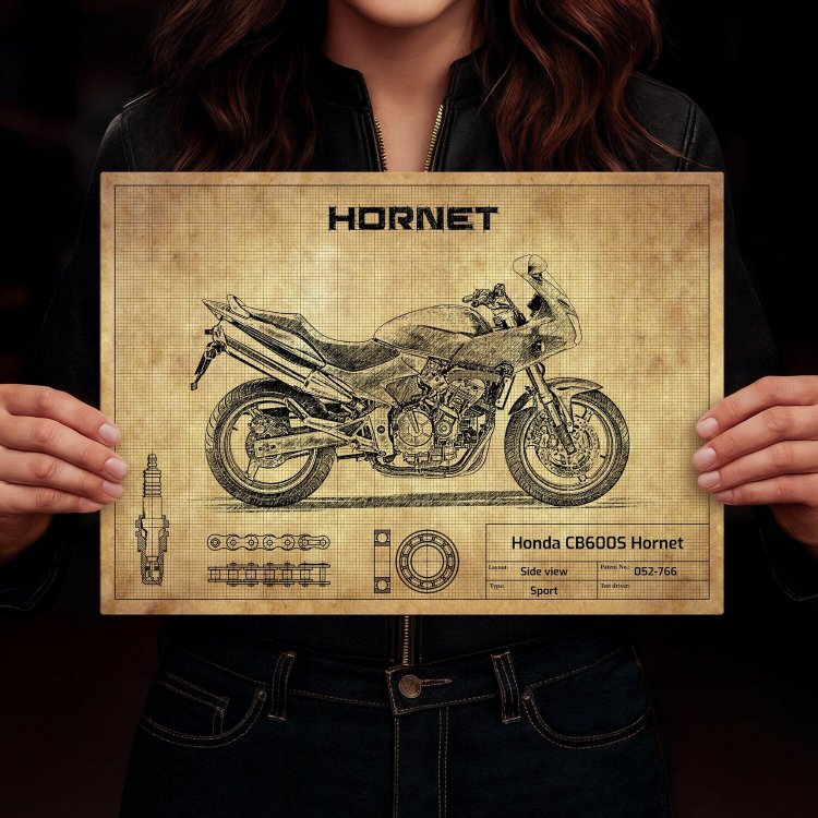 Honda CB600S Hornet