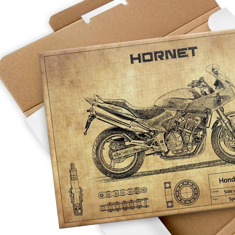 Honda CB600S Hornet