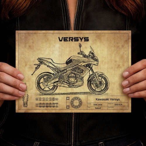 Kawasaki Versys