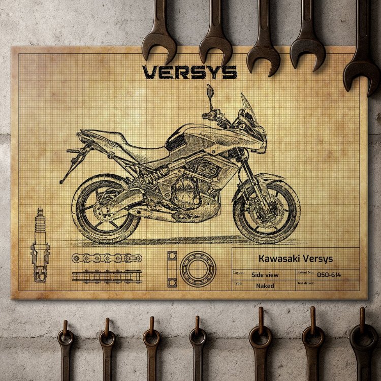 Kawasaki Versys