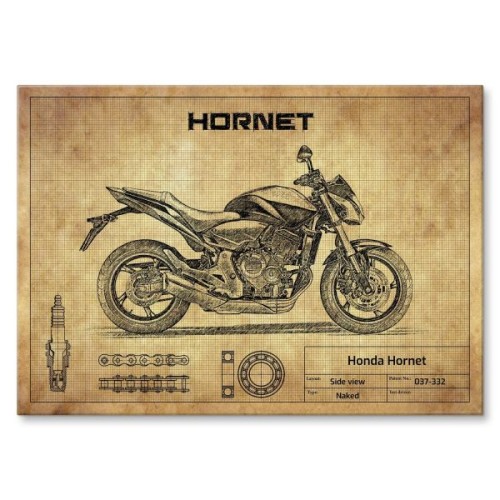 Honda Hornet