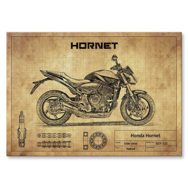 Honda Hornet