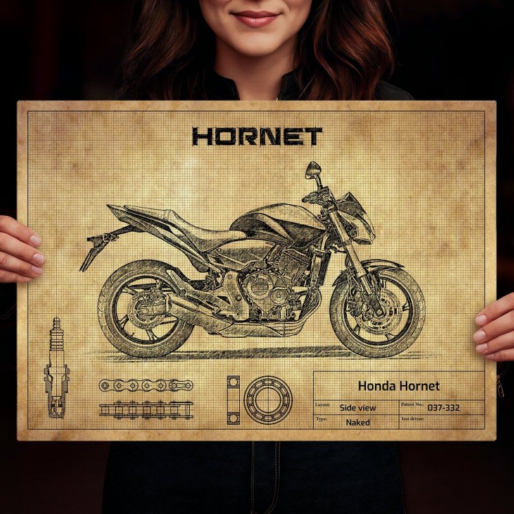 Honda Hornet