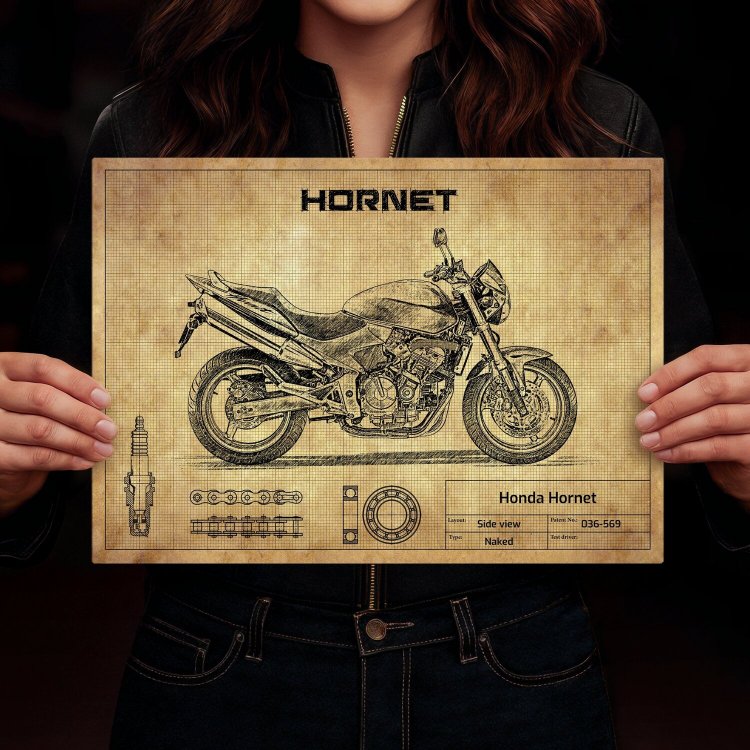 Honda Hornet