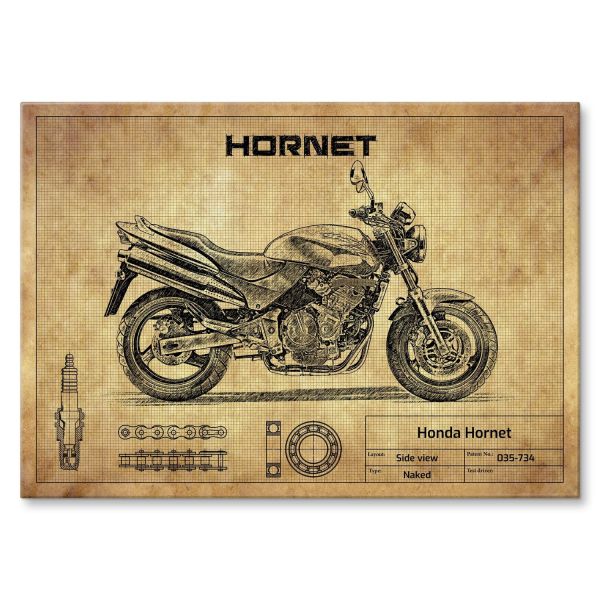 Honda Hornet