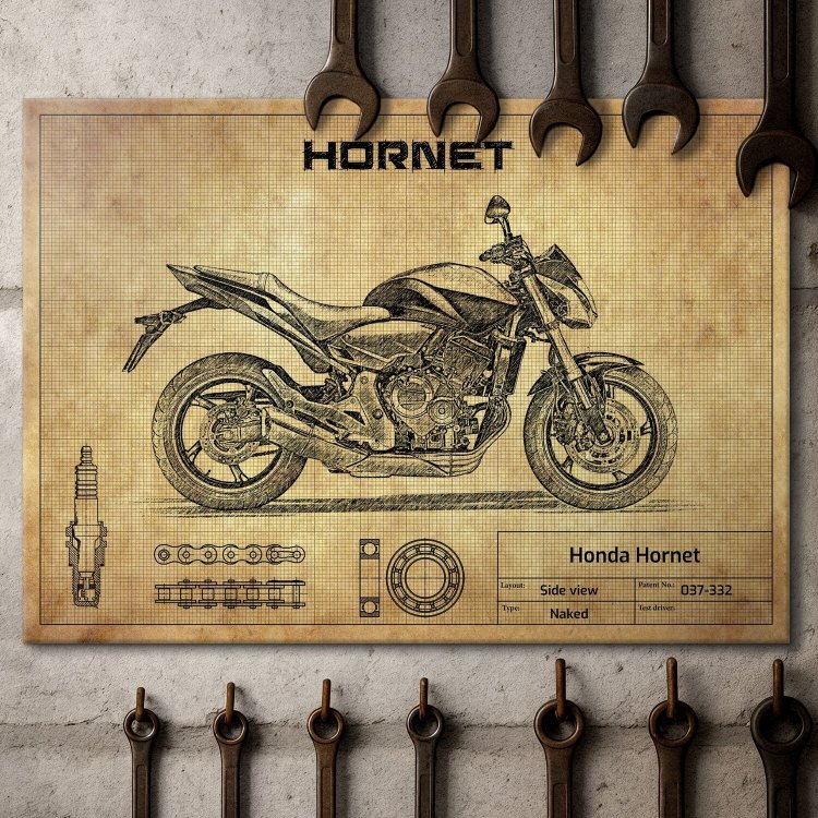 Honda Hornet