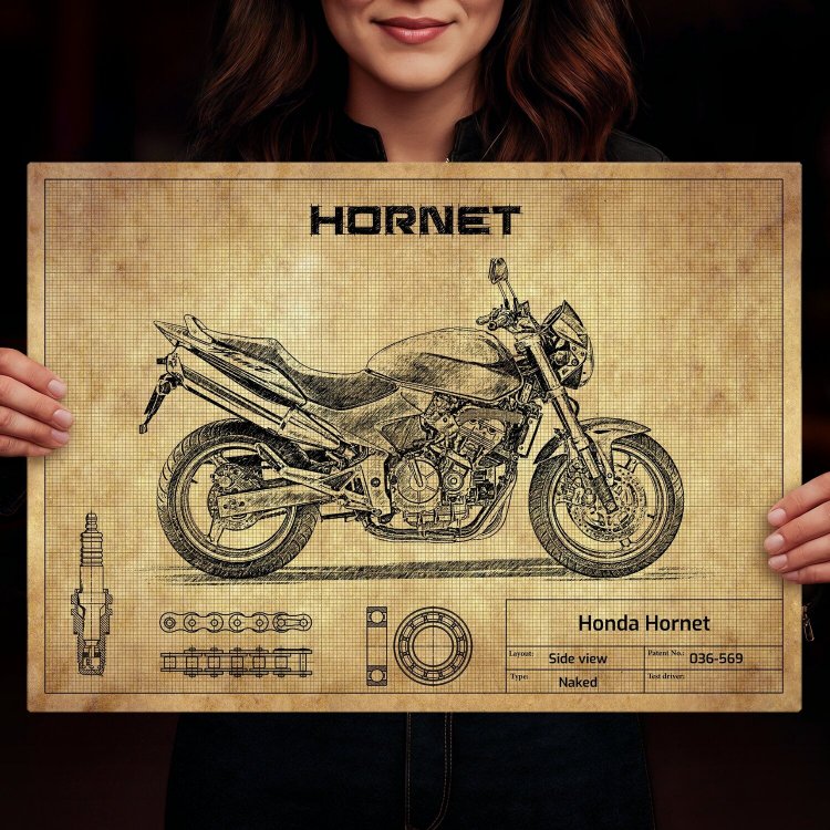 Honda Hornet