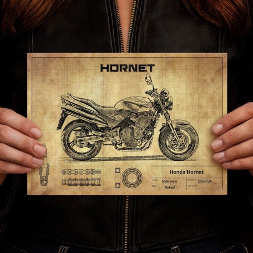 Honda Hornet