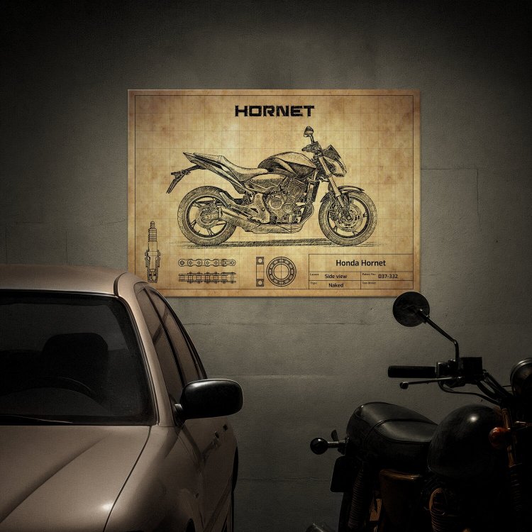 Honda Hornet