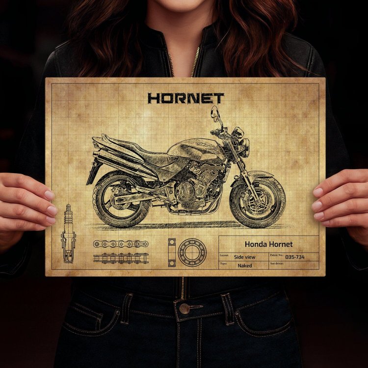 Honda Hornet