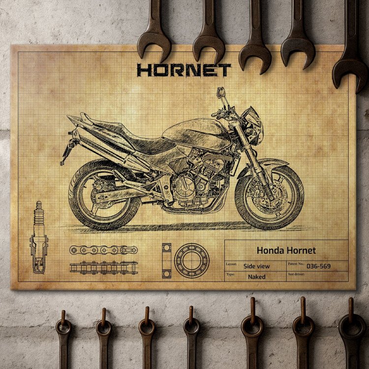 Honda Hornet