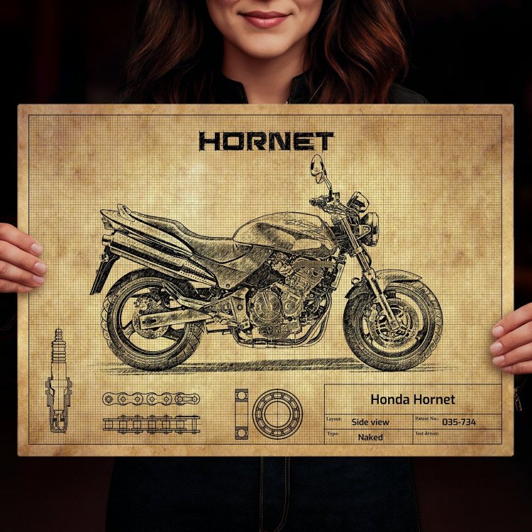 Honda Hornet