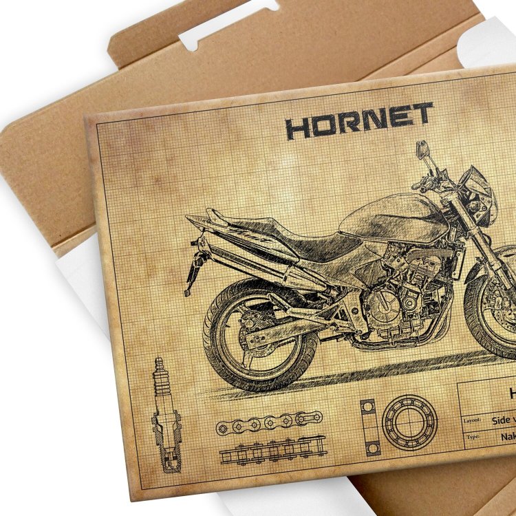 Honda Hornet