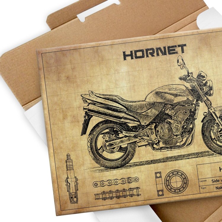 Honda Hornet