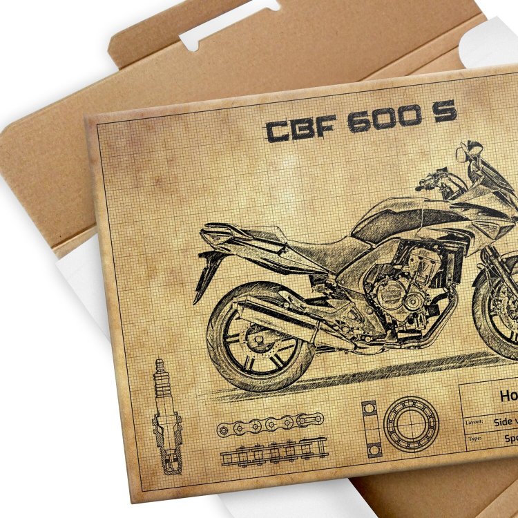Honda CBF 600 S