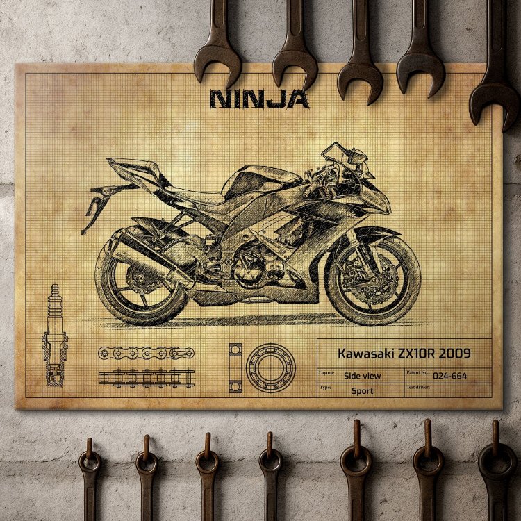 Kawasaki ZX10R 2009