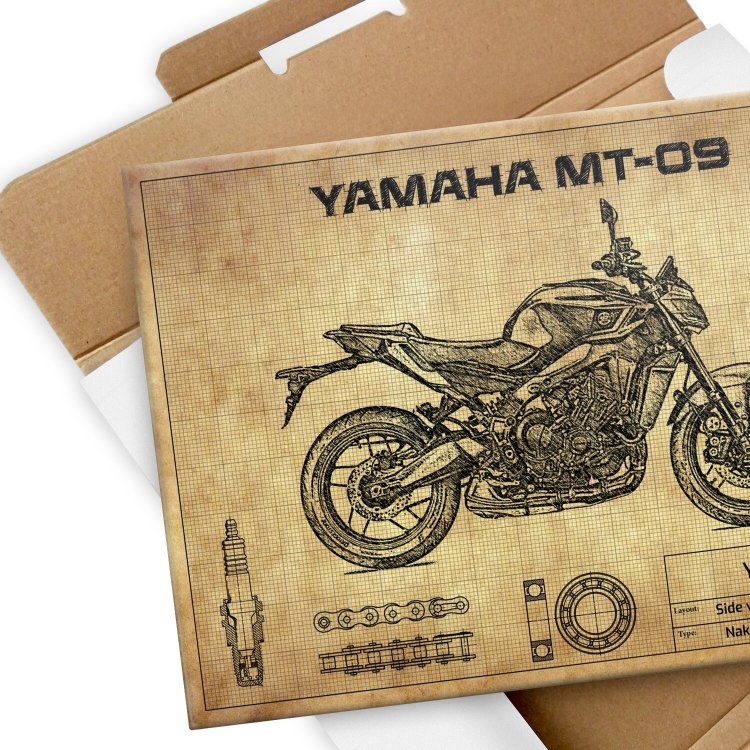 Yamaha MT-09 2024