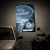 Rentgen X-ray Ford Focus II