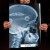 Rentgen X-ray Ford Focus III