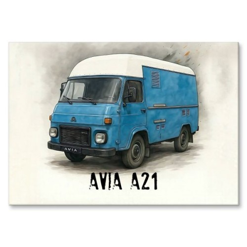AVIA A21