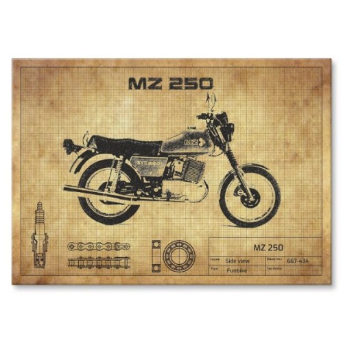 MZ 250